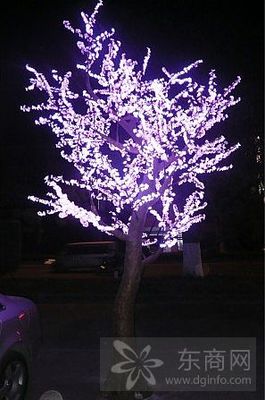 锣卜电子 LED照明与显示解决方案的专业之选